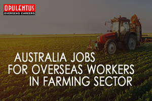 Australia Immigration, Australia Jobs